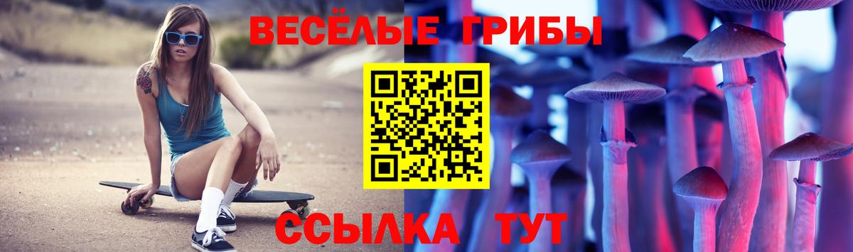 Галлюциногенные грибы Psilocybe  Вход с VPN  Партизанск  Псилоцибиновые грибы Psilocybine cubensis 